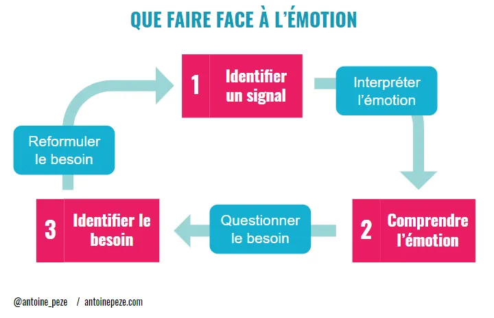 Cycle pour sonder les émotions